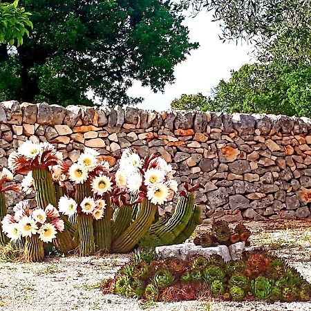 Casa Relax Isabelle Bed & Breakfast Alberobello Exterior photo